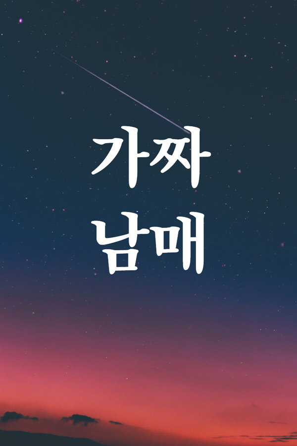 가짜 남매 표지